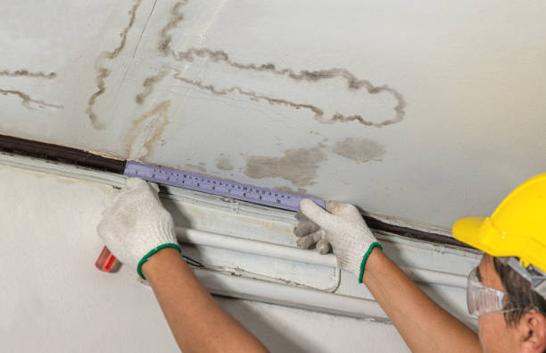 Reliable Sewage Cleanup contractor in Rochester, MI by Water Damage Irwin